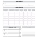 10 Miolos De Caderno B5 - 18.2x27 Cm + 20 Pares Paraná